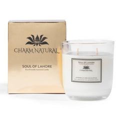 Citronella & Eucalyptus - Mosquito Repellent Candle Scented Candles
