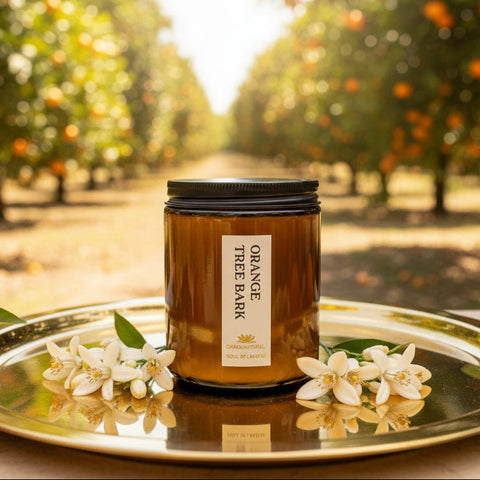 Orange Tree Bark Scented Candle - Scented Candles - Charm Natural
